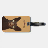 Sphynx Katze mit dem gelbe Augen-abstrakten Gepäckanhänger (Rückseite horizontal)