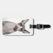 Sphynx Katze mit der Zunge heraus Gepäckanhänger (Vorderseite horizontal)