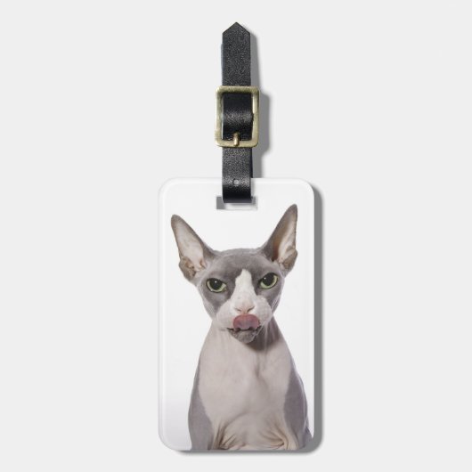Sphynx Katze mit der Zunge heraus Gepäckanhänger (Vorderseite vertikal)