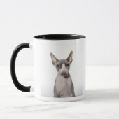 Sphynx Katze mit der Zunge heraus Tasse (Links)