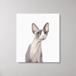 Sphynx Katze mit überraschtem Ausdruck Leinwanddruck