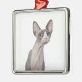 Sphynx Katze mit überraschtem Ausdruck Silbernes Ornament (Links)