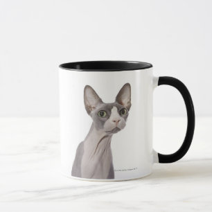 Sphynx Katze mit überraschtem Ausdruck Tasse