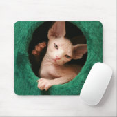 Sphynx Katze Mousepad | GoSphynx.com (Mit Mouse)