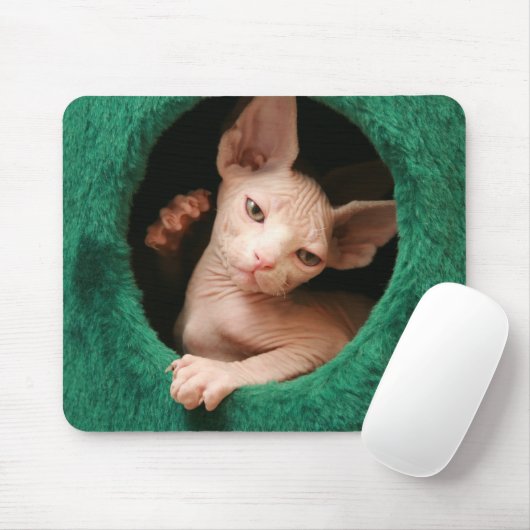 Sphynx Katze Mousepad | GoSphynx.com (Mit Mouse)
