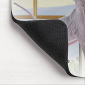Sphynx Katze Mousepads (Ecke)