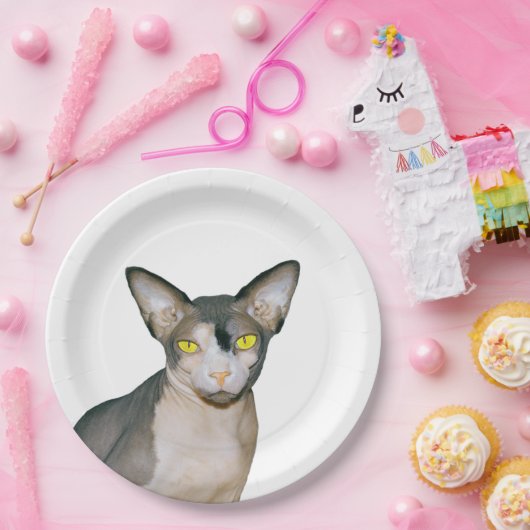 Sphynx Katze Ninja Rex Katzen-Katzen-Partyweiß Pappteller (Party)