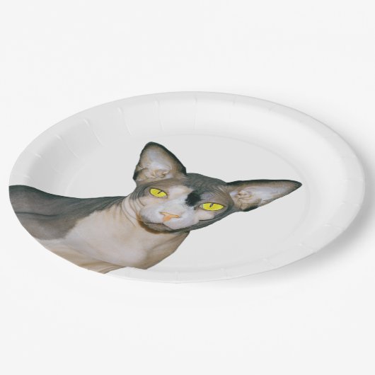 Sphynx Katze Ninja Rex Katzen-Katzen-Partyweiß Pappteller (Schrägansicht)