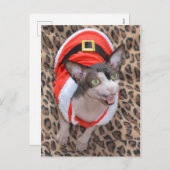 Sphynx Katze Ninja Sankt Weihnachten (Vorne/Hinten)