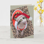 Sphynx Katze Ninja Sankt Weihnachten Karte (Gelbe Blume)