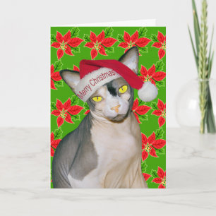 Sphynx-Katze Ninja Santa Weihnachten Holi Grün Karte