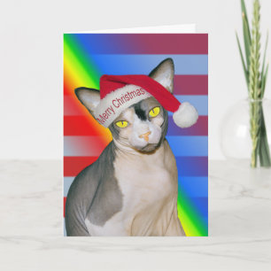Sphynx Katze Ninja Santa Weihnachten Regenbogen Karte