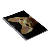 sphynx Katze Notizblock (Rechte Seite)