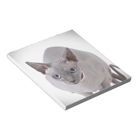 Sphynx Katze Notizblock (angewinkelt)