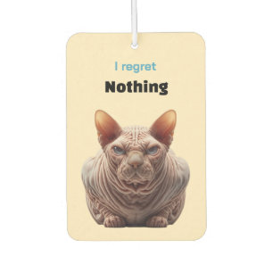Sphynx-Katze ohne Reue Autolufterfrischer