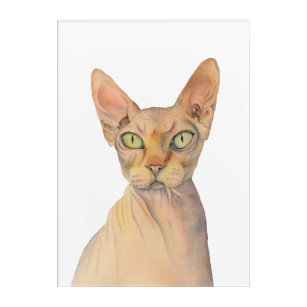 Sphynx Katzen-Aquarell-Porträt Acryl Wandkunst