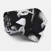 Sphynx Katzen-Schwarz-weiße Krawatte (Gerollt)