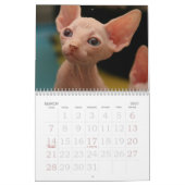 Sphynx Katzen-Wandkalender | GoSphynx.com Kalender (Mär 2027)