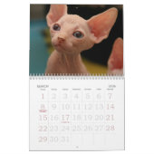 Sphynx Katzen-Wandkalender | GoSphynx.com Kalender (Mär 2026)