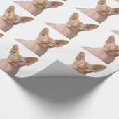 Sphynx-Katzengeschenk Geschenkpapier (Ecke)