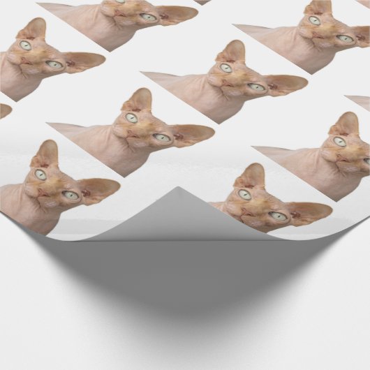 Sphynx-Katzengeschenk Geschenkpapier (Ecke)