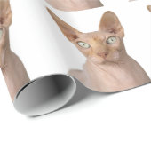 Sphynx-Katzengeschenk Geschenkpapier (Rolleneckpunkt)