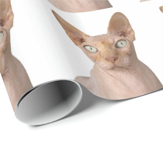 Sphynx-Katzengeschenk Geschenkpapier (Rolleneckpunkt)