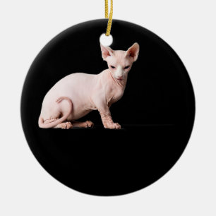 Sphynx Katzenliebling Geschenk für Männer Kinder J Keramik Ornament