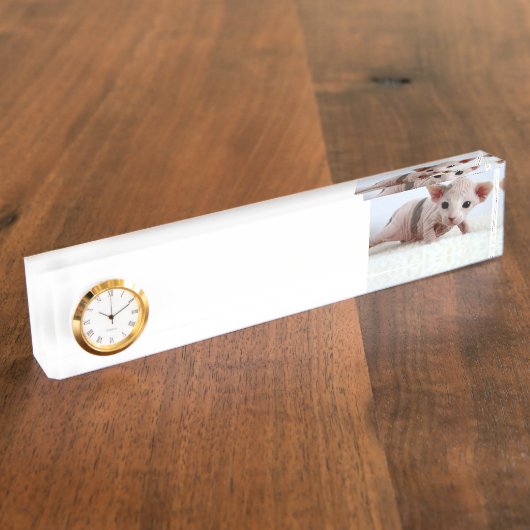 Sphynx kitten.png namensplakette (Seite)