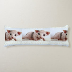 Sphynx kitten.png seitenschläferkissen