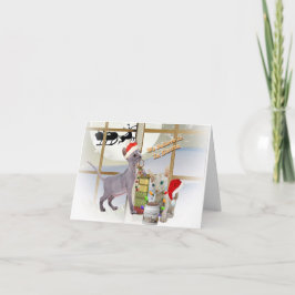 Sphynx Kittens Glauben an den Weihnachtsmann Feiertagskarte