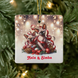 Sphynx Kittens Weihnachten Keramikornament