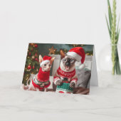 Sphynx Kittens Weihnachtskarte Dankeskarte (Vorderseite)