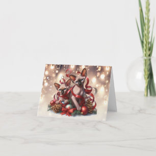 Sphynx Kittens Weihnachtskarte Karte