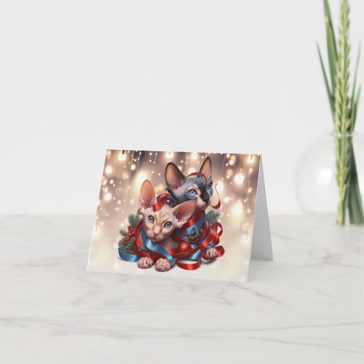 Sphynx Kittens Weihnachtskarte Karte (Vorderseite)