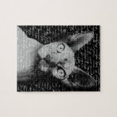 Sphynx Puzzle (Horizontal)