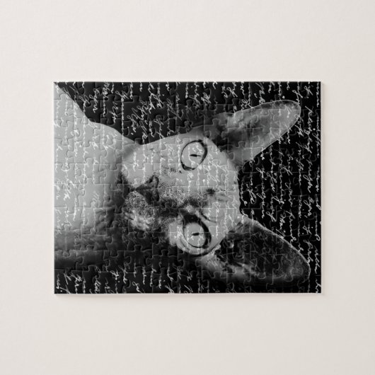 Sphynx Puzzle (Horizontal)