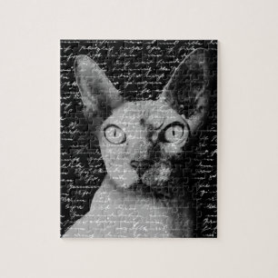 Sphynx Puzzle