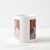 Sphynx Sphinx-Katzen-Katzen-Nickerchen-Zeit Kaffeetasse (Mittel)