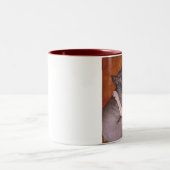 Sphynx Sphinx-Katzen-Katzen-Nickerchen-Zeit-Tasse Zweifarbige Tasse (Mittel)