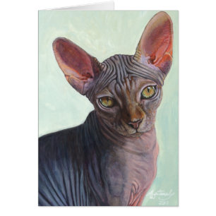 Sphynx Sphinx-Katzen-Katzen Sunitha