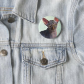 Sphynx Sphinx-Katzen-Katzen Sunitha Button (Beispiel)