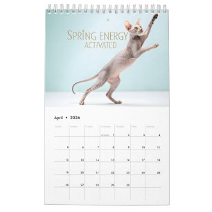 Sphynx spricht: Bearbeitbare monatliche Katzenhumo Kalender