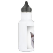 Sphynx Trinkflasche (Links)