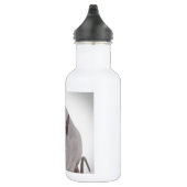 Sphynx Trinkflasche (Rechts)