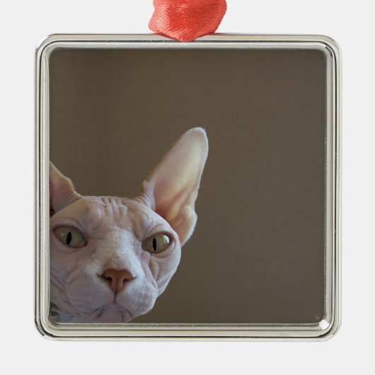 Sphynx unbehaarte Katzen-Minirahmen-Verzierung Ornament Aus Metall (Vorne)