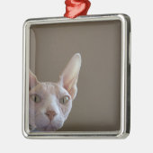 Sphynx unbehaarte Katzen-Minirahmen-Verzierung Ornament Aus Metall (Links)