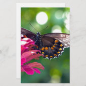 Spicebush-Frack Briefpapier (Vorne/Hinten)