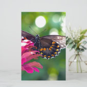 Spicebush-Frack Briefpapier (Stehend Vorderseite)