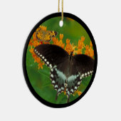 Spicebush Frack Butterfly Keramikornament (Rechts)